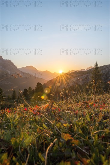 Sunrise in front of mountain silhouette with mountain meadow