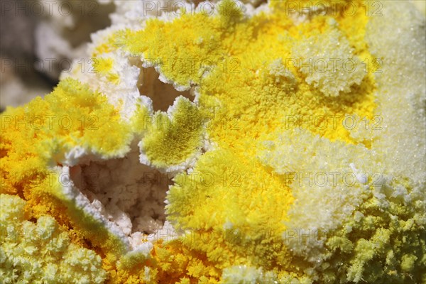 Sulfur fumaroles and chloride crusts on the crater rim