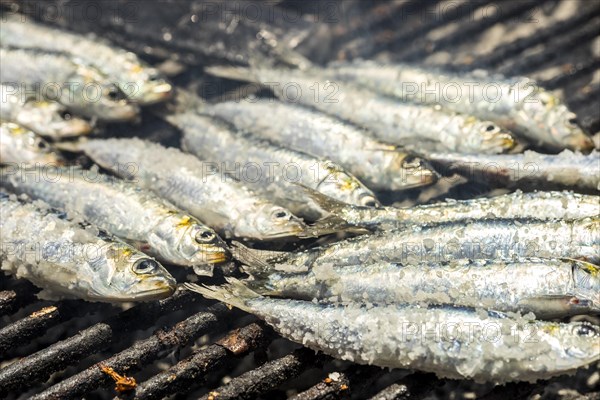 Preparing barbecued sardines