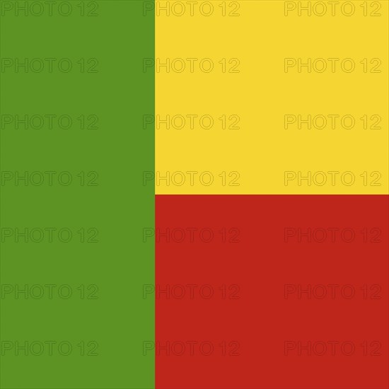 Official national flag of Benin