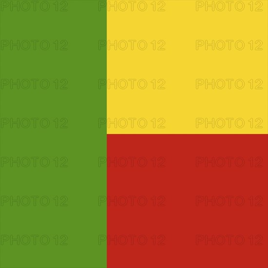 Official national flag of Benin