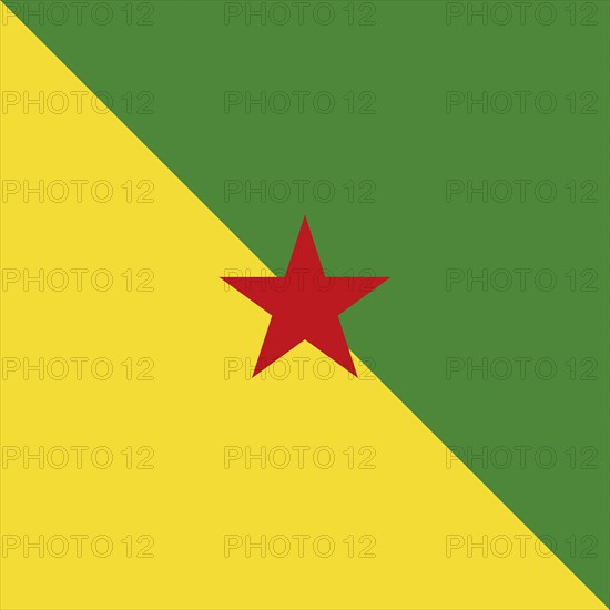 Official national flag of French Guiana
