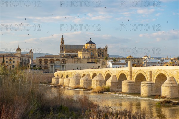 Puente Romano