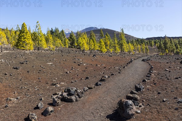 Hiking trail near Mirador de Chio