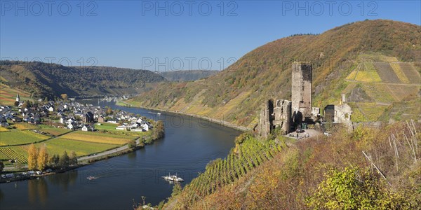 Ruins of Metternich Castle with vineyard