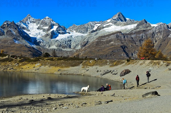 Group of tourists at mountain lake Gruensee