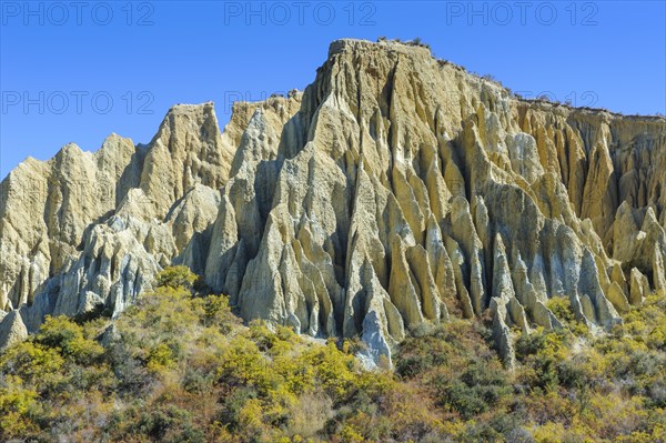 Huge sharp pinnacles of the Omarama clay cliffs