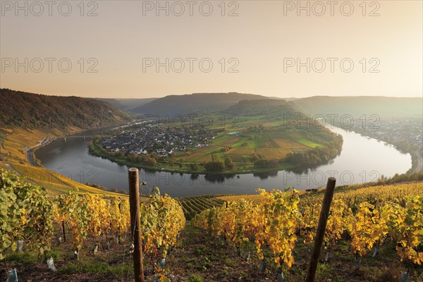 Overview of Moselschleife near Krov