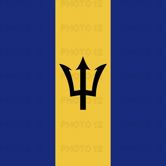 Official national flag of Barbados