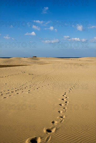 Sand dunes and blue sky