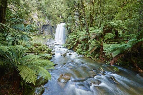 Hopetoun Falls in the rainforest