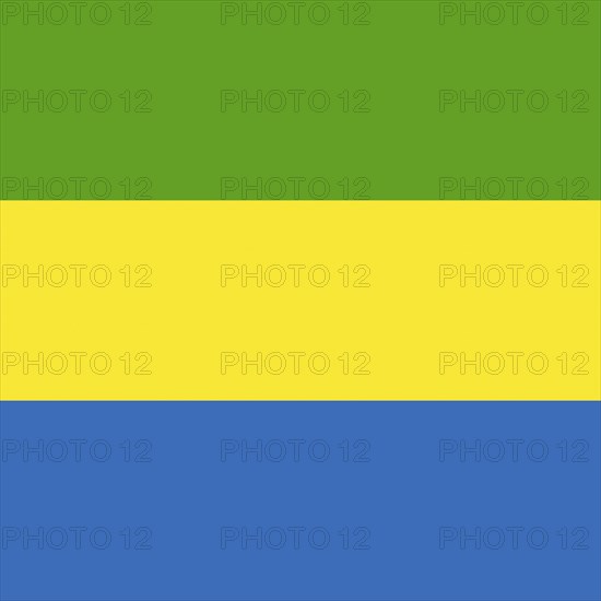 Official national flag of Gabon