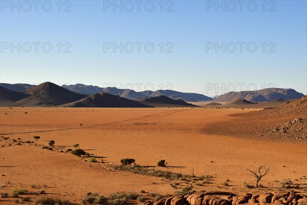 Desert Landscape