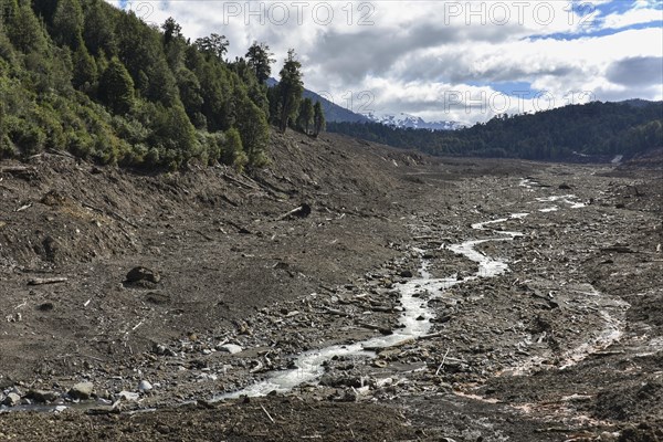 Destroyed forest by a landslide in Villa Santa Lucia