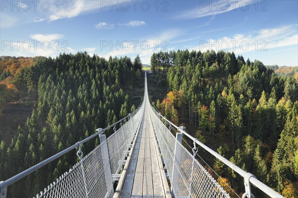 Hanging rope bridge Geierlay