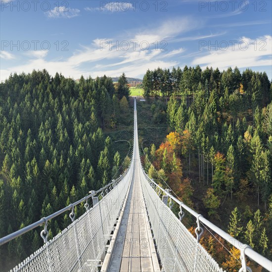 Hanging rope bridge Geierlay