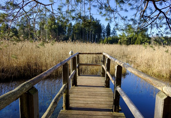 Pier at Quelltrichter