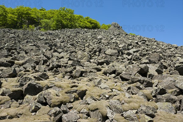 Block heap at Milseburg mountain