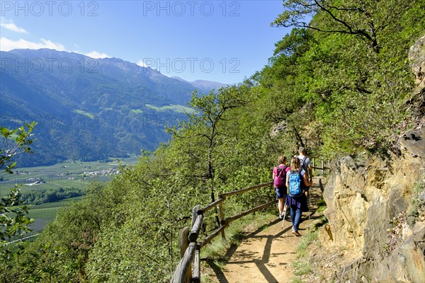Hikers on the Sonnenberg panoramic trail
