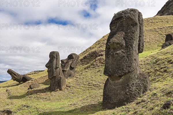 Moais in Rano Raraku