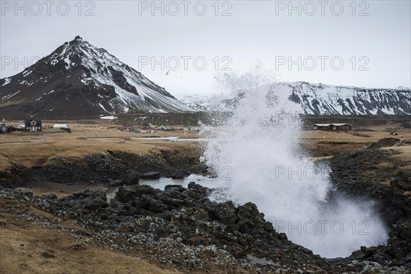 Water coming out of blowhole