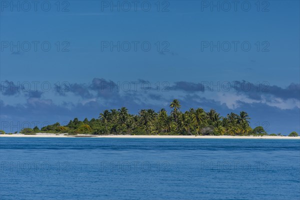 Palm fringed white sand beach in the turquoise waters of Tikehau