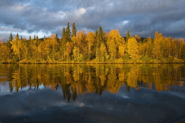 Autumn landscape