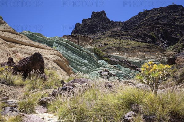 Turquoise colored rock layer Los Azulejos De Veneguera