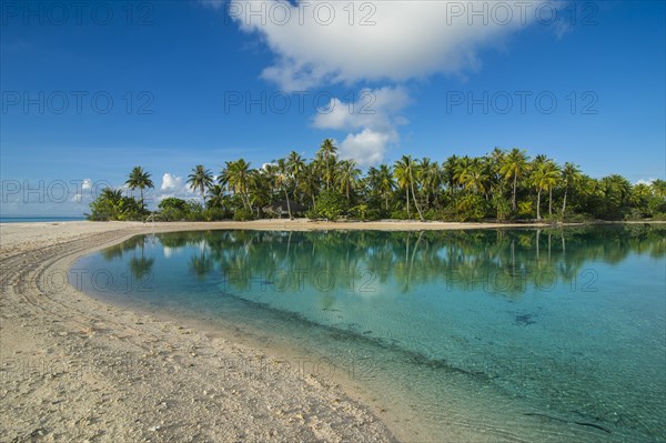 Palm fringed white sand beach in the turquoise waters of Tikehau