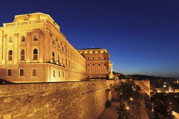 Castle Palace by Night