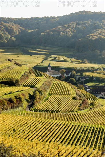 Village in the vineyards in autumn