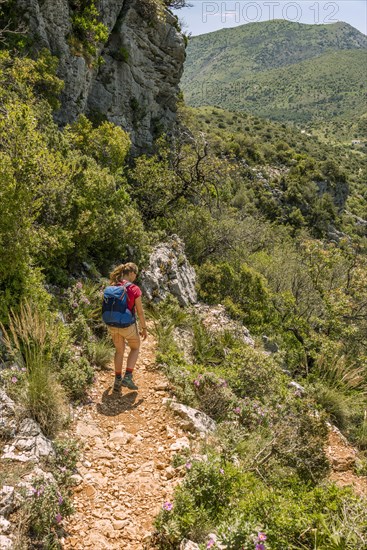 Female hiker on a hiking trail