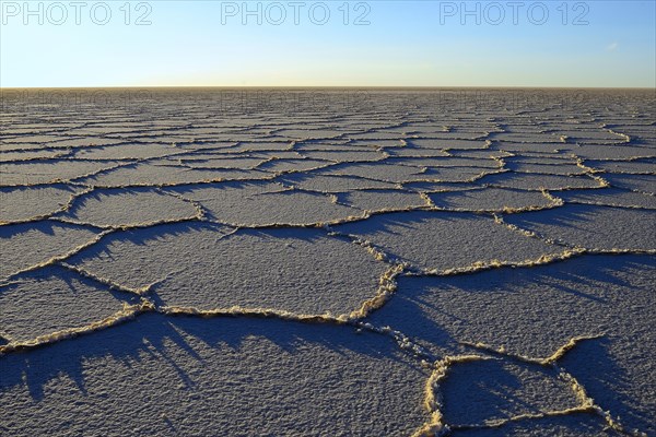 Honeycomb structure on the salt lake