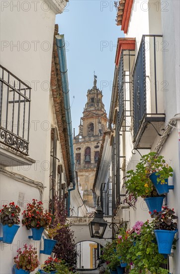 Calle de las Flores