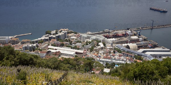 Harbor