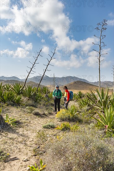 Hiker among overgrown dunes with agaves