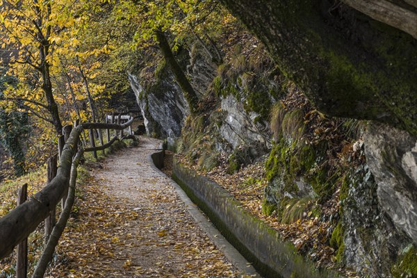 Marlinger Waalweg