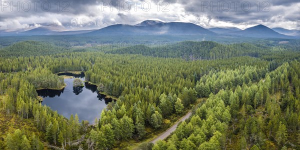 Overview of Loch Morlich