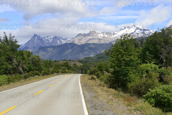 Asphalted section of the Carretera Austral