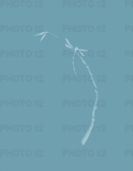 Artistic Japanese Zen illustration design of Dragonfly sitting on young bamboo stalk on light sky blue background