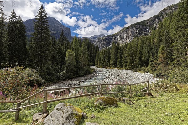 Mountain river Sarca flows through mountainous landscape