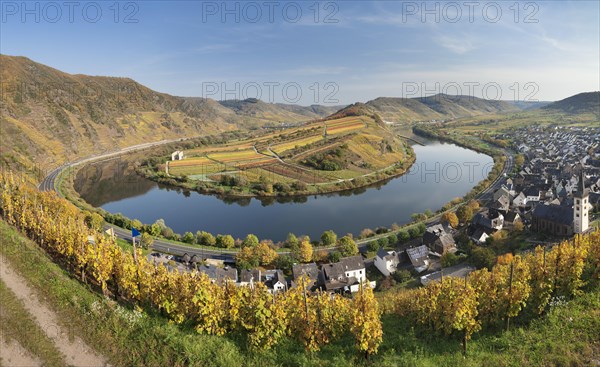 Moselschleife in autumn