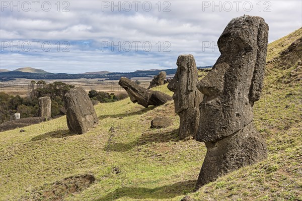 Moais in Rano Raraku