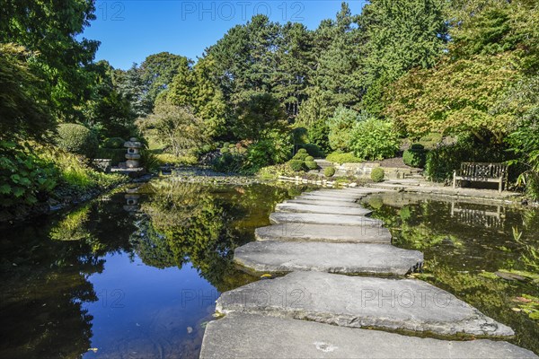 Japanese Garden