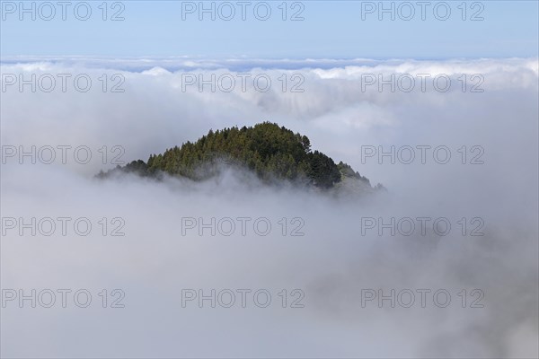 View from the Mirador Pinos de Galdar