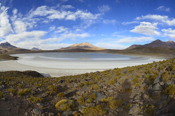 Typical landscape on the Laguna Hedionda