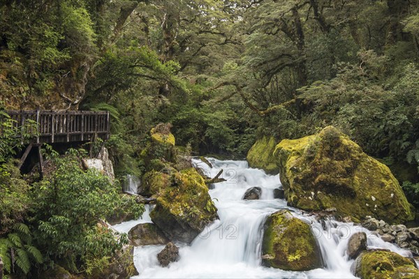 Wooden footbridge at Marian Falls