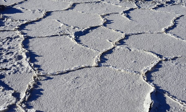 Honeycomb structure on the salt lake