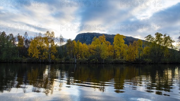 Autumn landscape