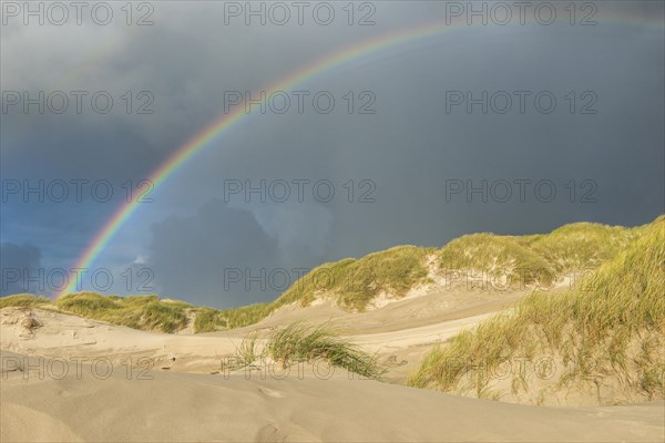 Rainbow over dune landscape
